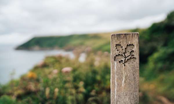 National Trust sign on wooden post with sea in background