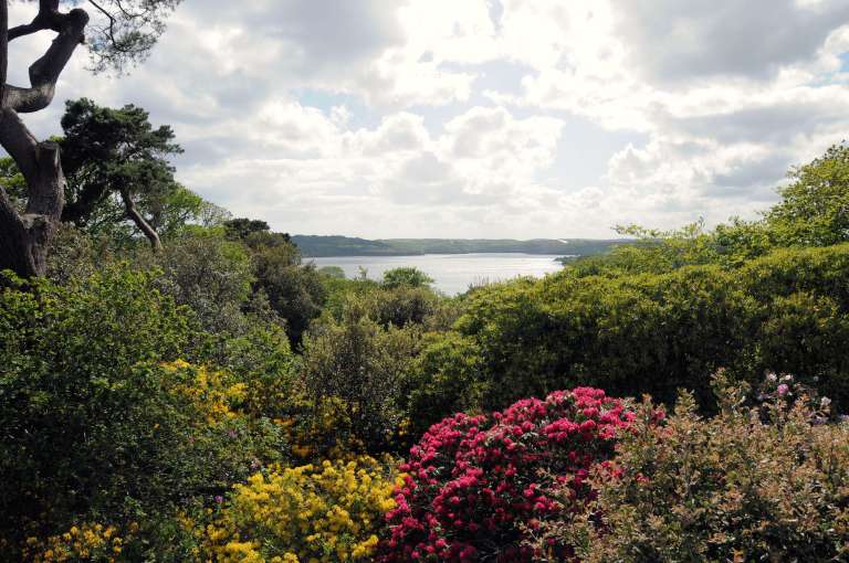 Antony Woodland Garden 