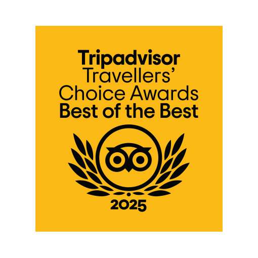 Tripadvisor 2025