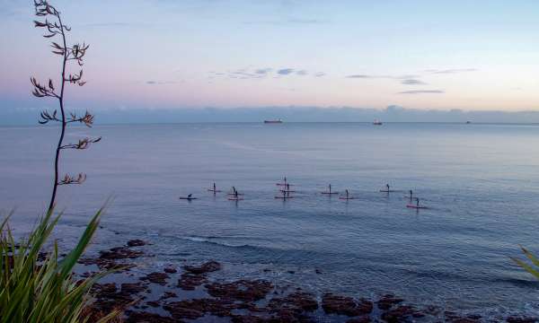 Group of stand up paddle boarders at sea