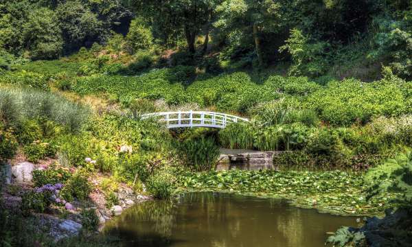 Decorative footbridge at Trebah gardens
