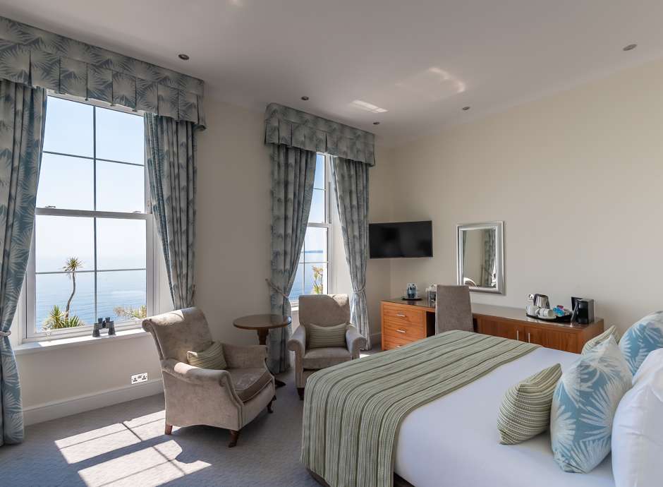 Deluxe sea facing room