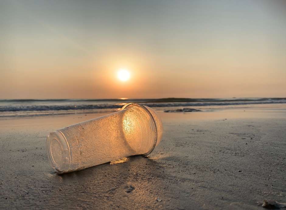 Cup on the beach 