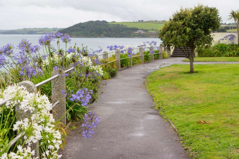 Flowers on the Seafront in Falmouth Cornwall