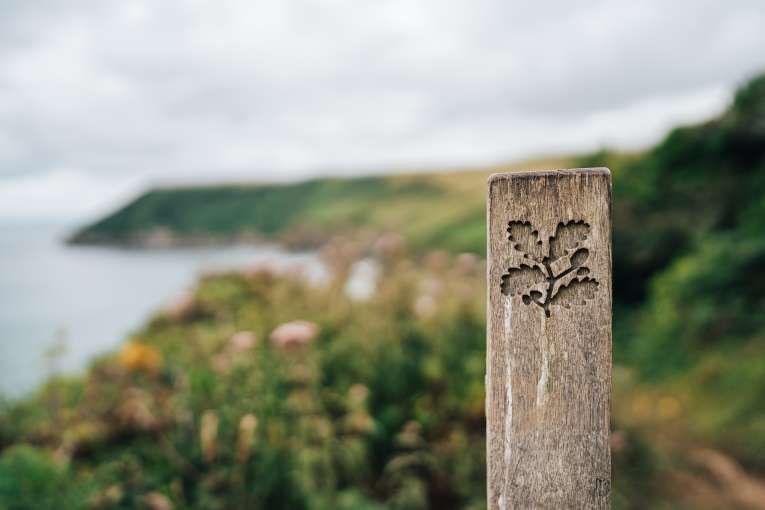 National Trust sign on wooden post with sea in background