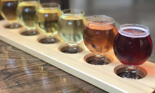 Row of local Cornish wines served in glasses