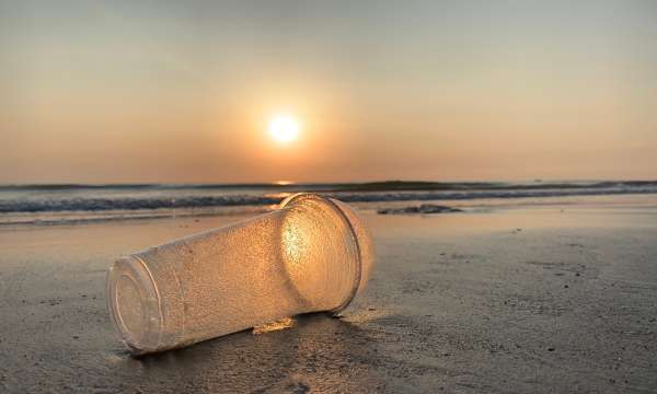 Cup on the beach